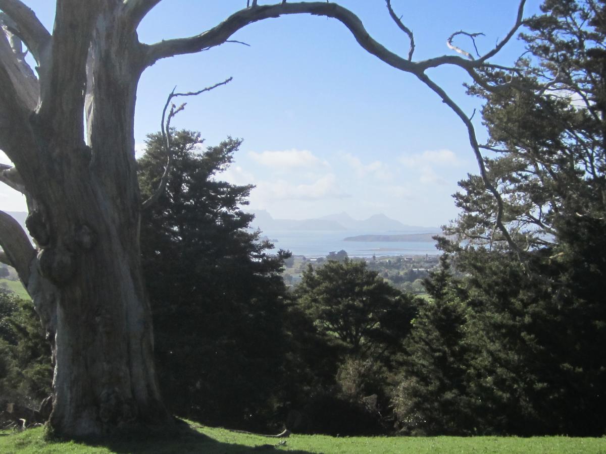 Hyecroft Lodge Whangarei Eksteriør billede