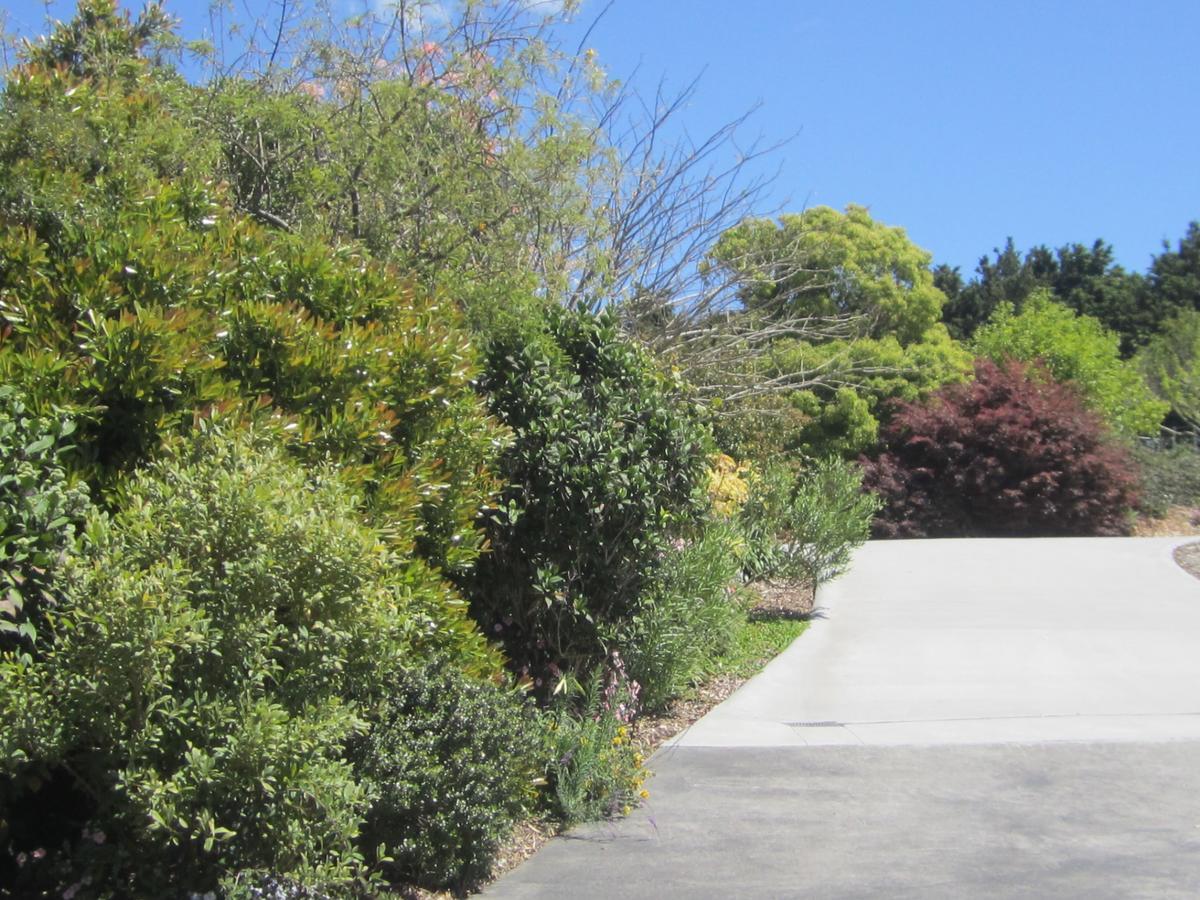 Hyecroft Lodge Whangarei Eksteriør billede
